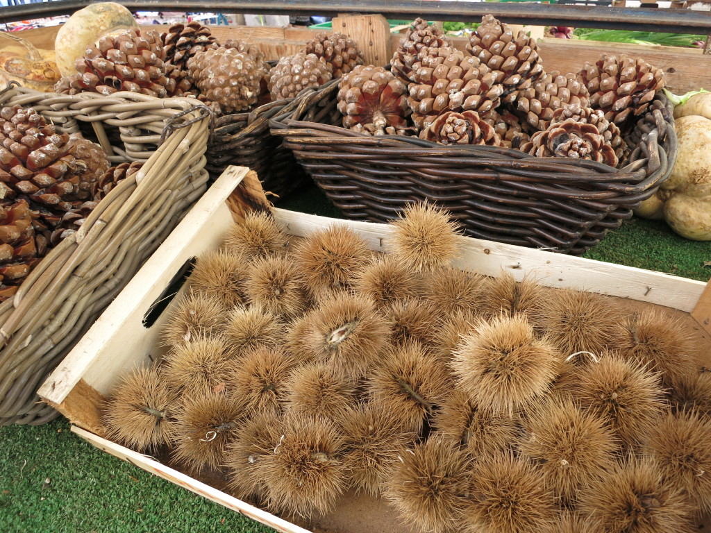 PIne cones and chestnuts at the Campo de' Fiori market.